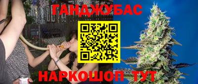 стафф Лесосибирск